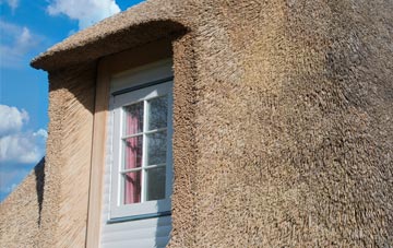 Freiston thatch roof disadvantages